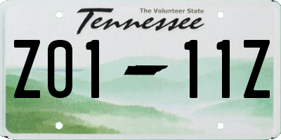 TN license plate Z0111Z