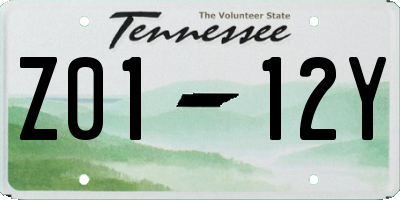 TN license plate Z0112Y