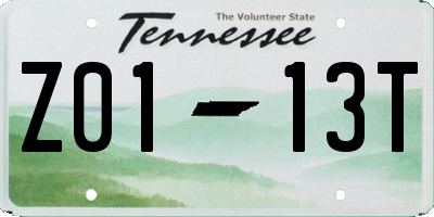 TN license plate Z0113T
