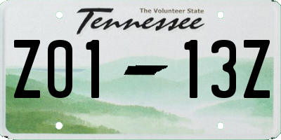 TN license plate Z0113Z