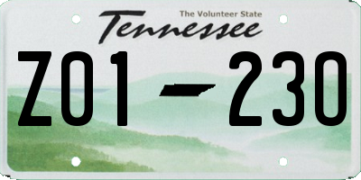 TN license plate Z0123O