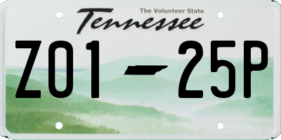 TN license plate Z0125P