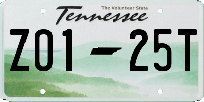 TN license plate Z0125T