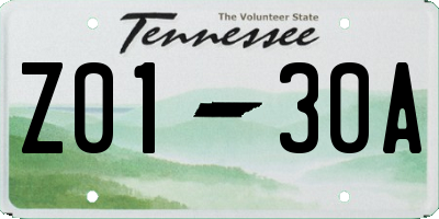 TN license plate Z0130A