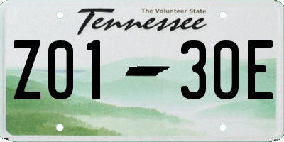 TN license plate Z0130E