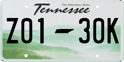 TN license plate Z0130K