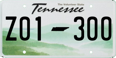 TN license plate Z0130O