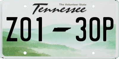 TN license plate Z0130P