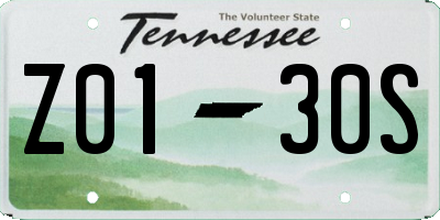 TN license plate Z0130S