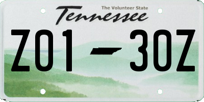 TN license plate Z0130Z