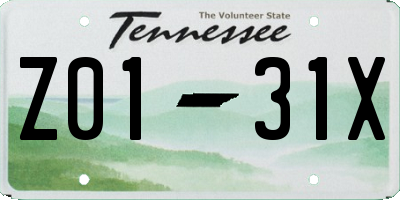 TN license plate Z0131X