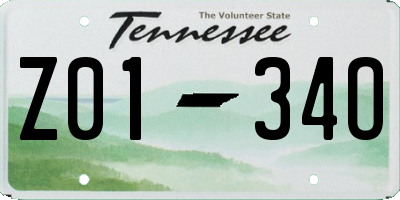 TN license plate Z0134O