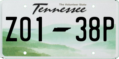 TN license plate Z0138P