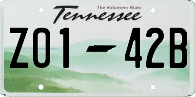 TN license plate Z0142B