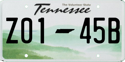 TN license plate Z0145B