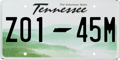 TN license plate Z0145M