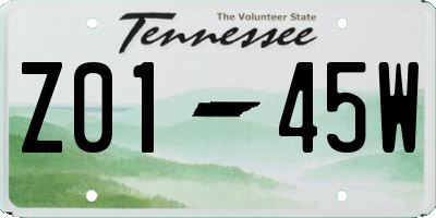 TN license plate Z0145W