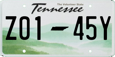 TN license plate Z0145Y