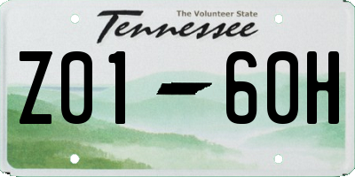 TN license plate Z0160H