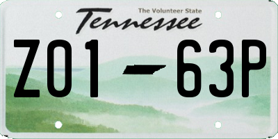 TN license plate Z0163P