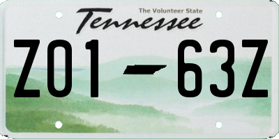 TN license plate Z0163Z