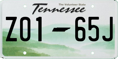 TN license plate Z0165J