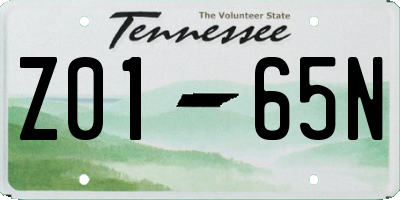 TN license plate Z0165N