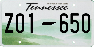 TN license plate Z0165O