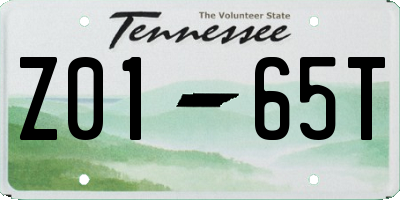 TN license plate Z0165T