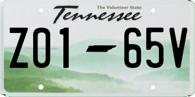 TN license plate Z0165V