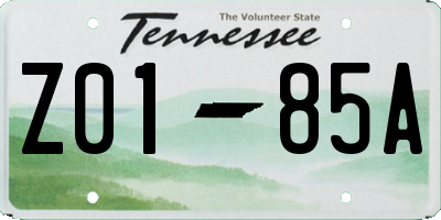 TN license plate Z0185A