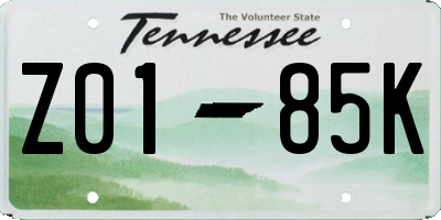 TN license plate Z0185K
