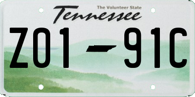 TN license plate Z0191C