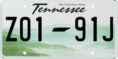TN license plate Z0191J