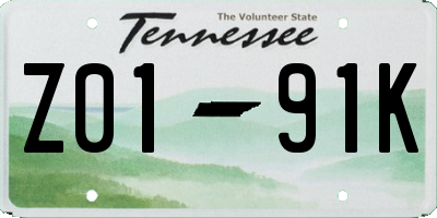 TN license plate Z0191K