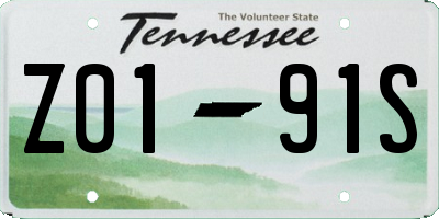 TN license plate Z0191S