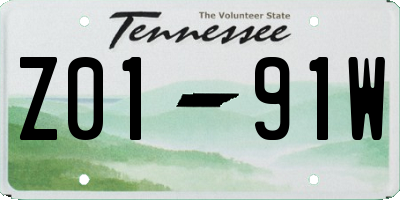 TN license plate Z0191W