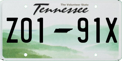 TN license plate Z0191X