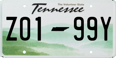 TN license plate Z0199Y