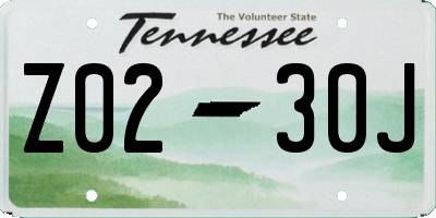 TN license plate Z0230J