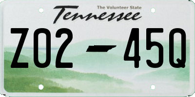 TN license plate Z0245Q