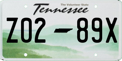 TN license plate Z0289X