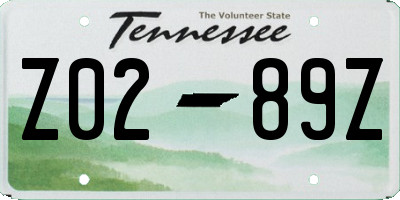 TN license plate Z0289Z