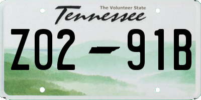 TN license plate Z0291B