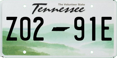 TN license plate Z0291E