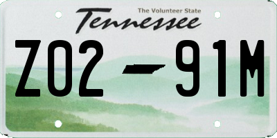 TN license plate Z0291M