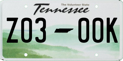 TN license plate Z0300K