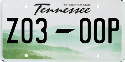 TN license plate Z0300P