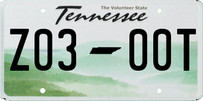 TN license plate Z0300T