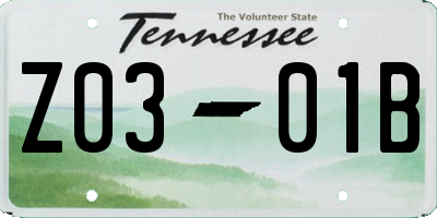 TN license plate Z0301B